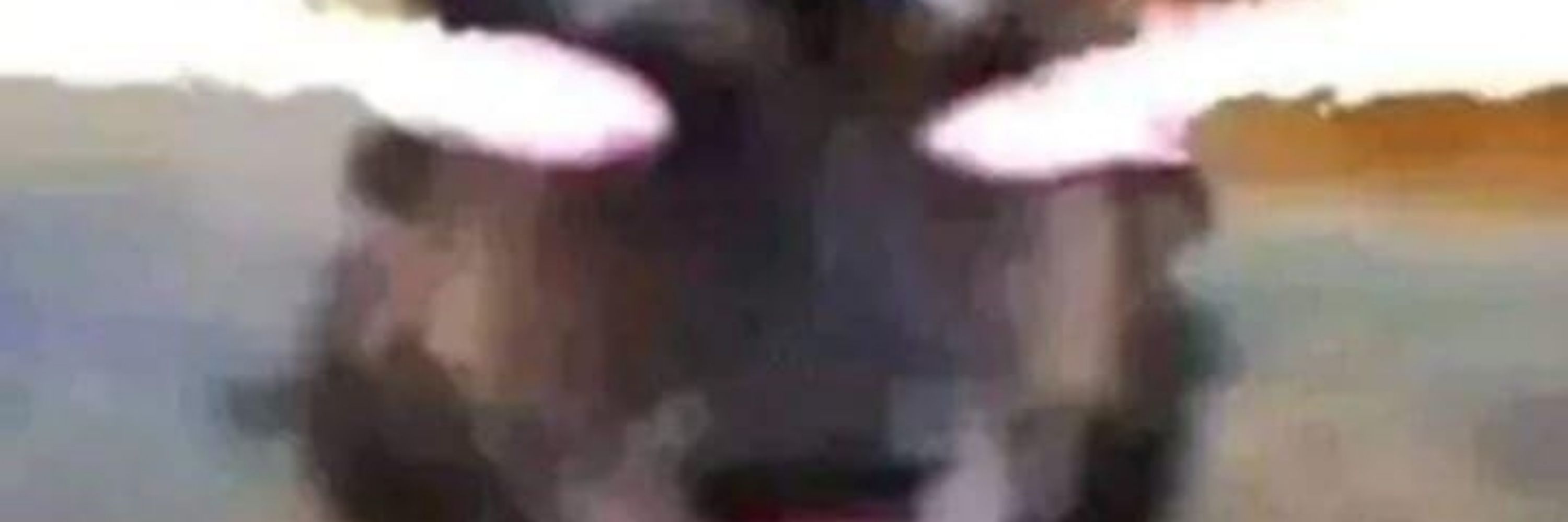 LipeMasterOmegaLordXD