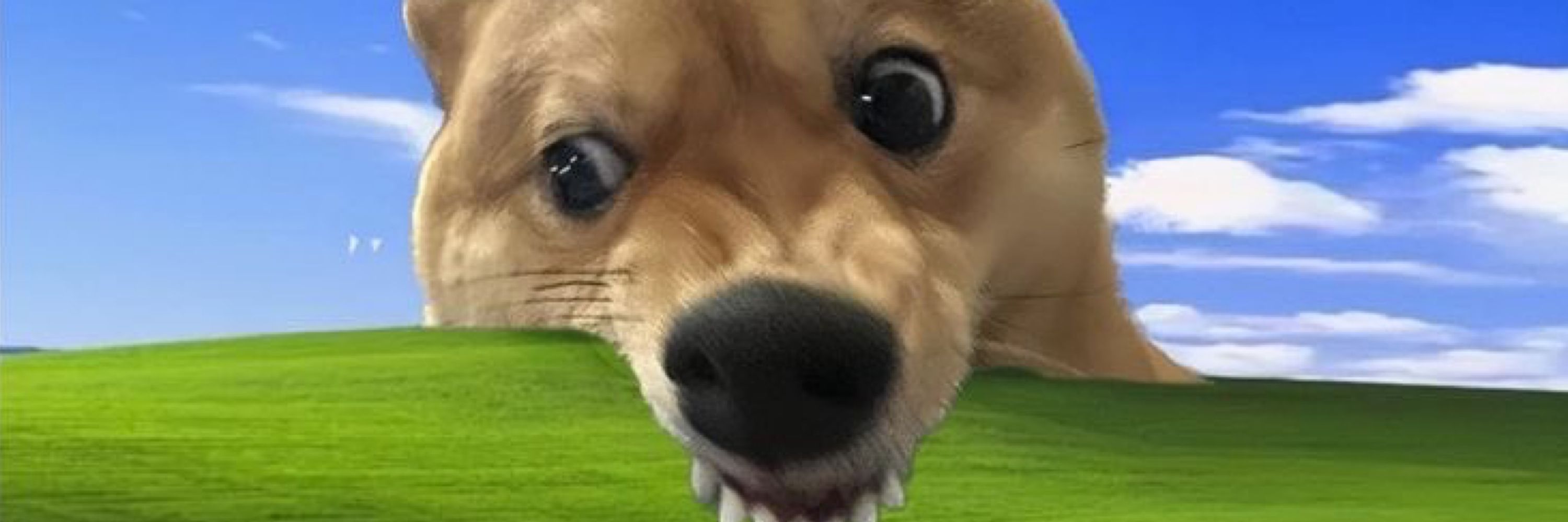 패급