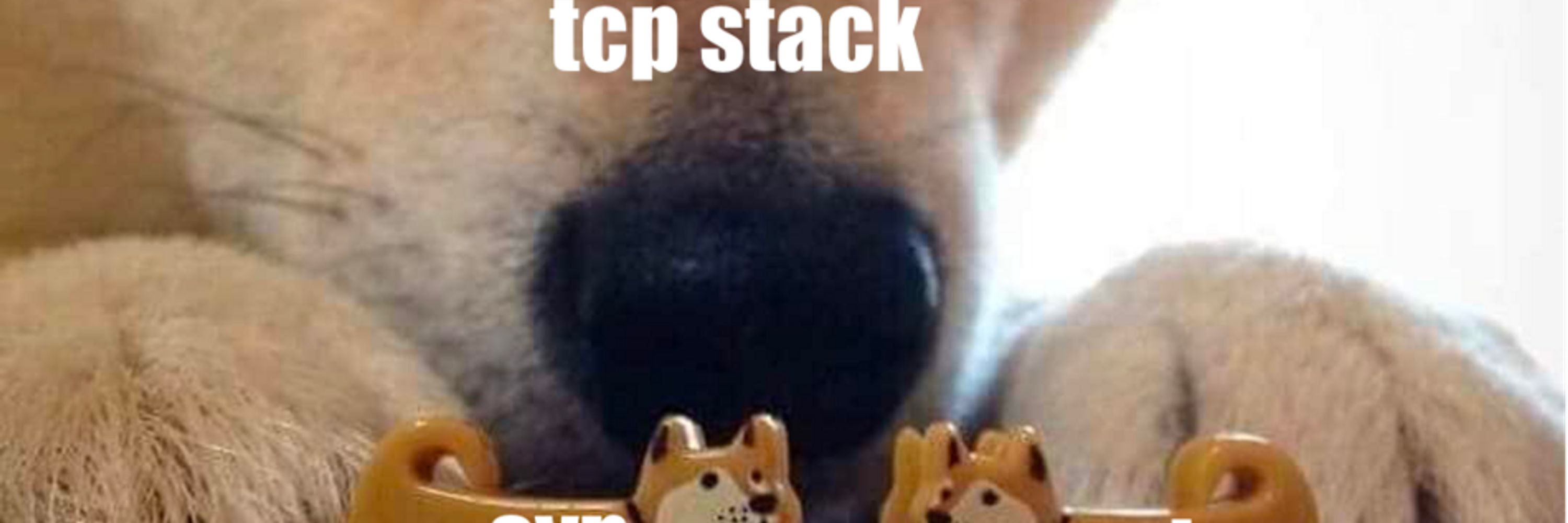 Hacker Memes