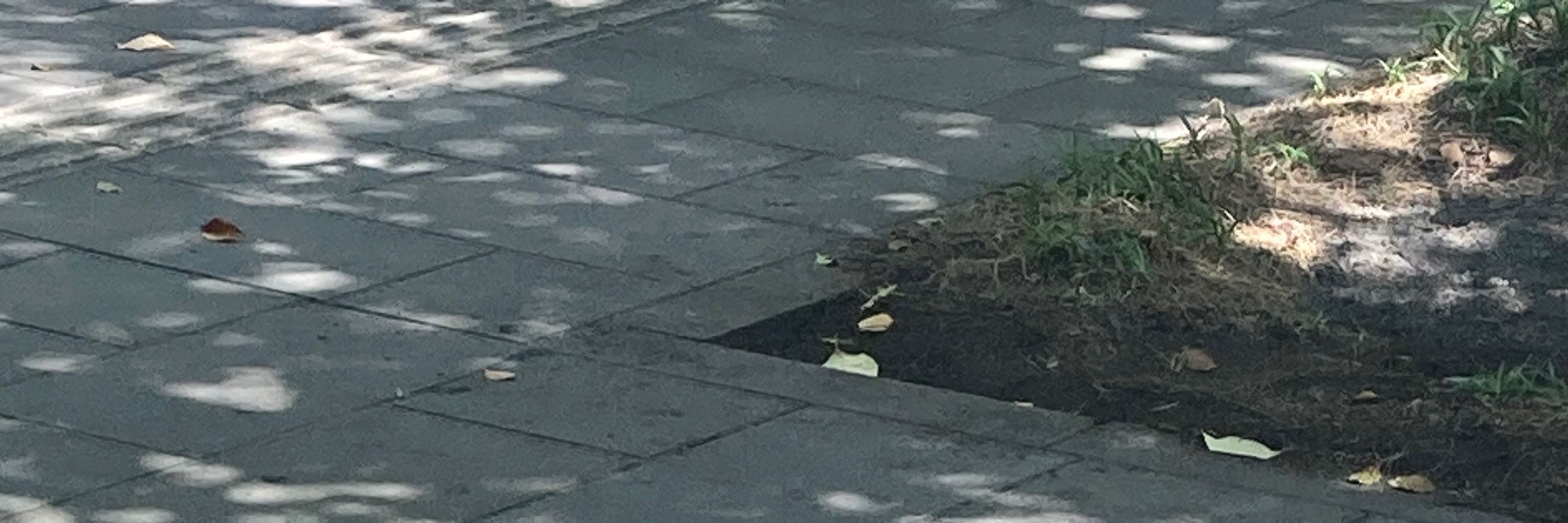 むい
