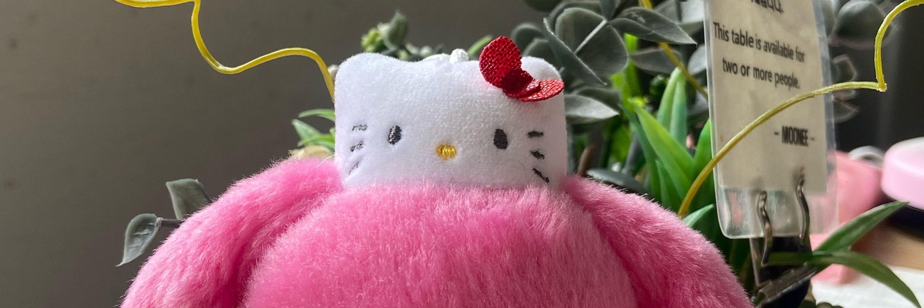 김강쥐