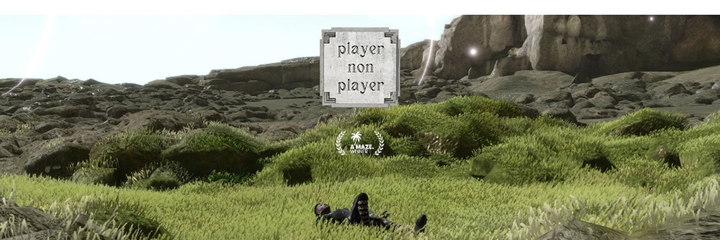 Player Non Player