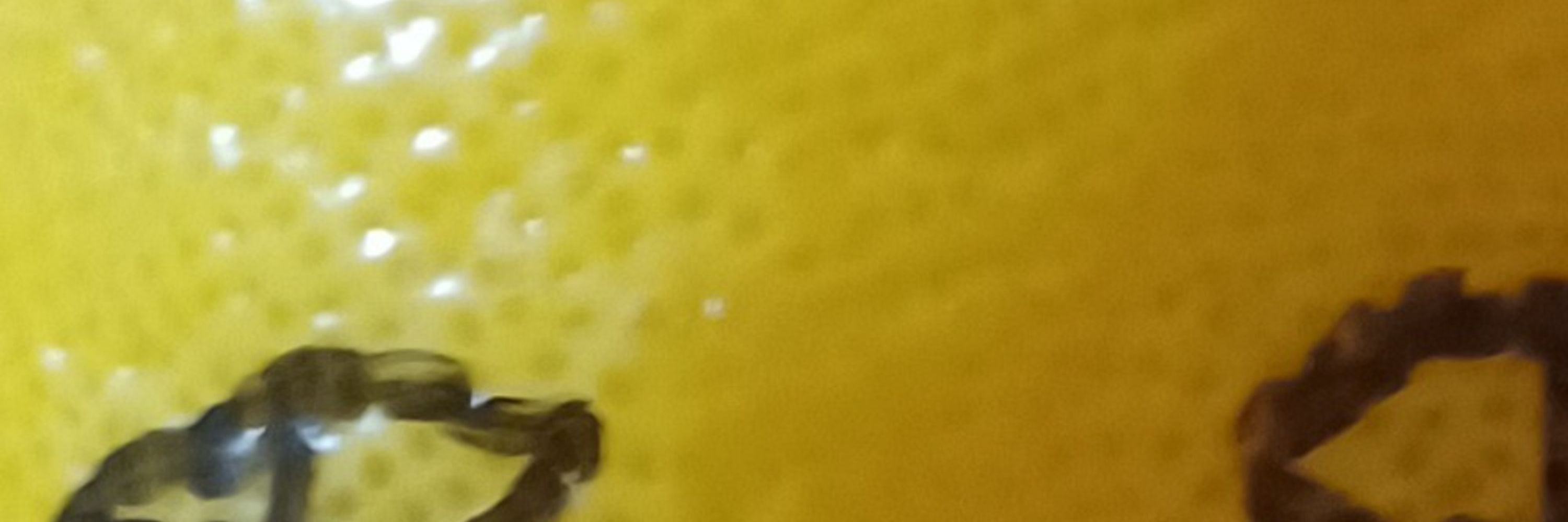 I AM LEMON