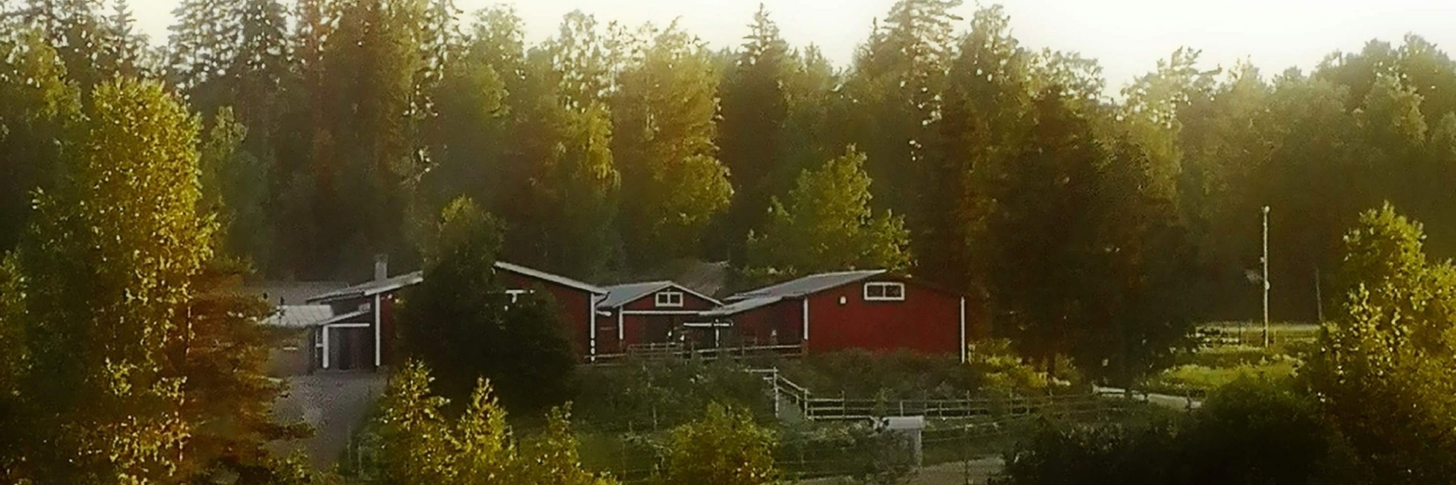 Ilomaa aktiivipihatto