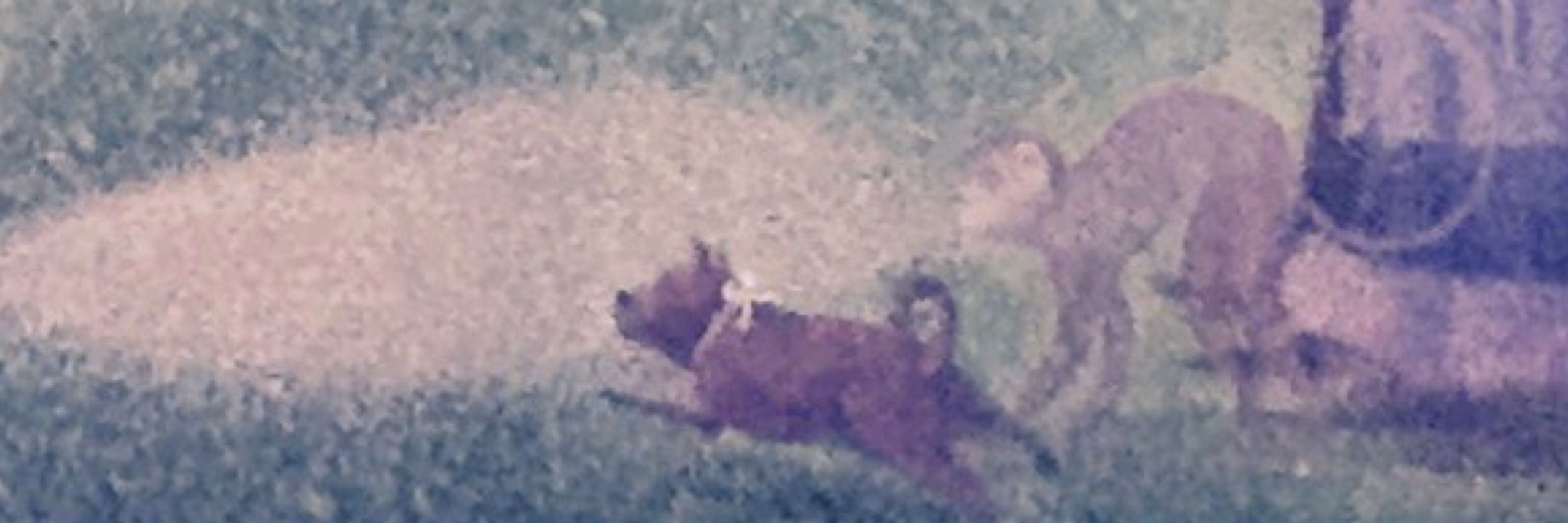 Seurat’s Monkey