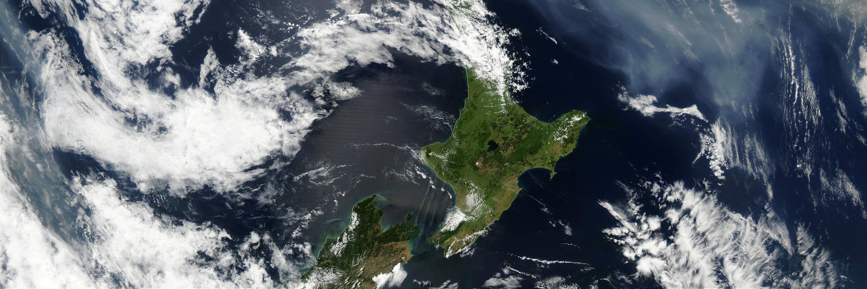 Kiwis in Climate