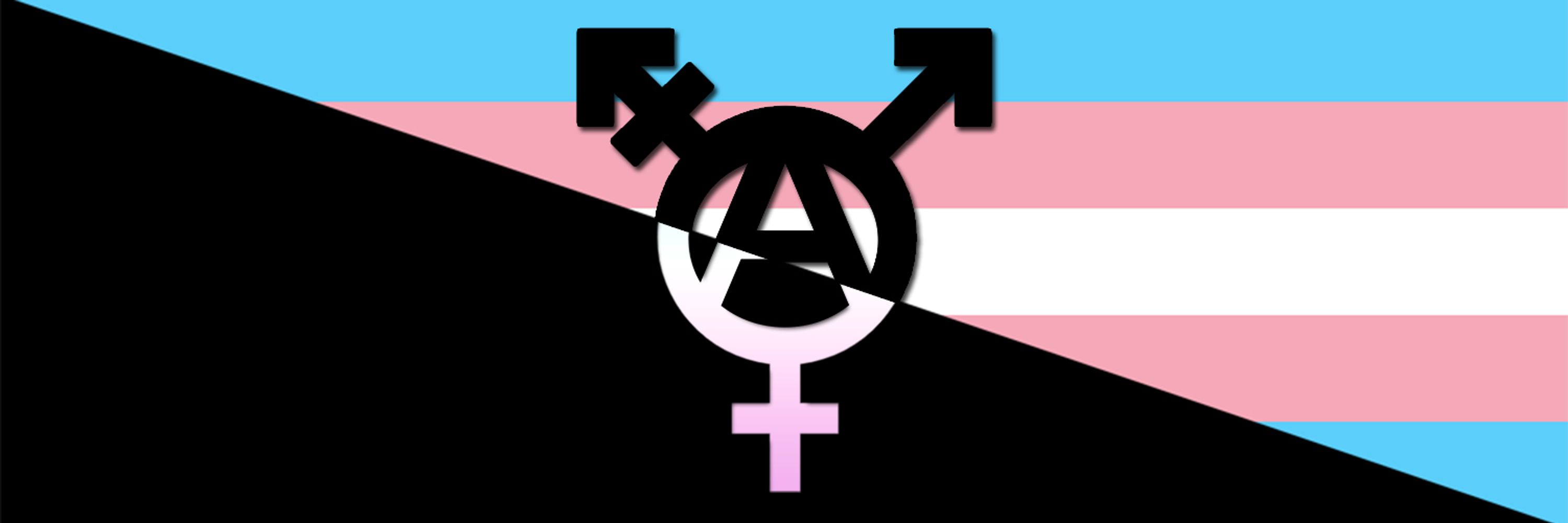 ⚧ The Tranarchy Webring ⚧