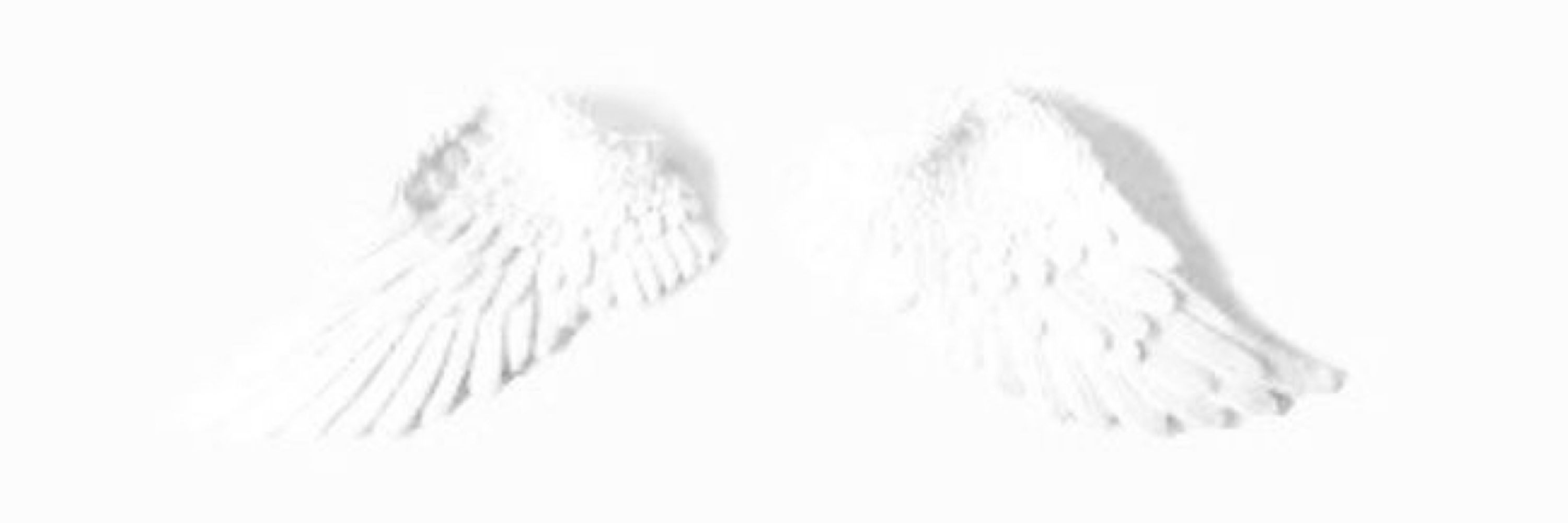 ౨ৎ ⋆｡˚