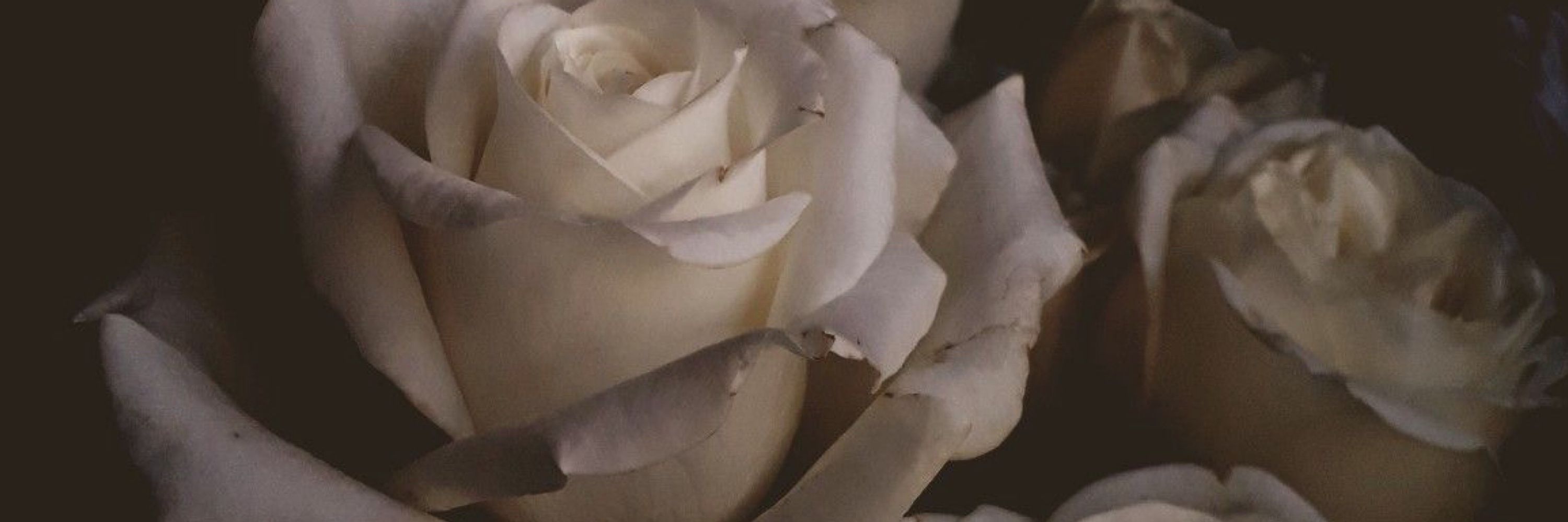 ♡ ♡ ♡
