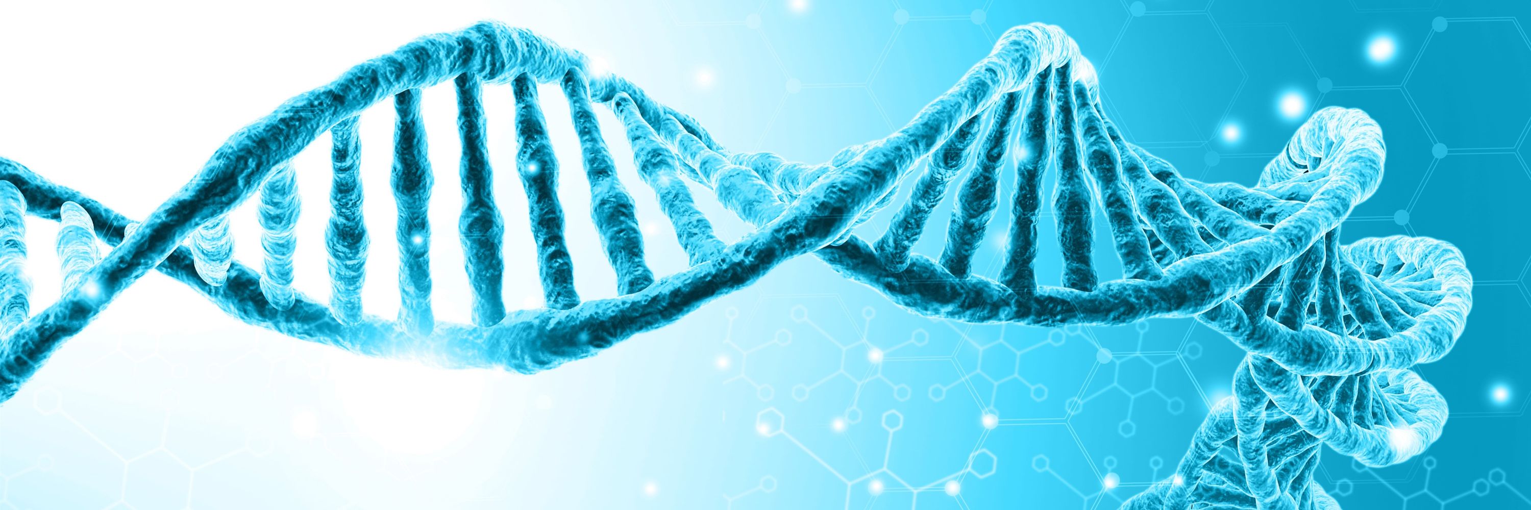 ecSeq Bioinformatics