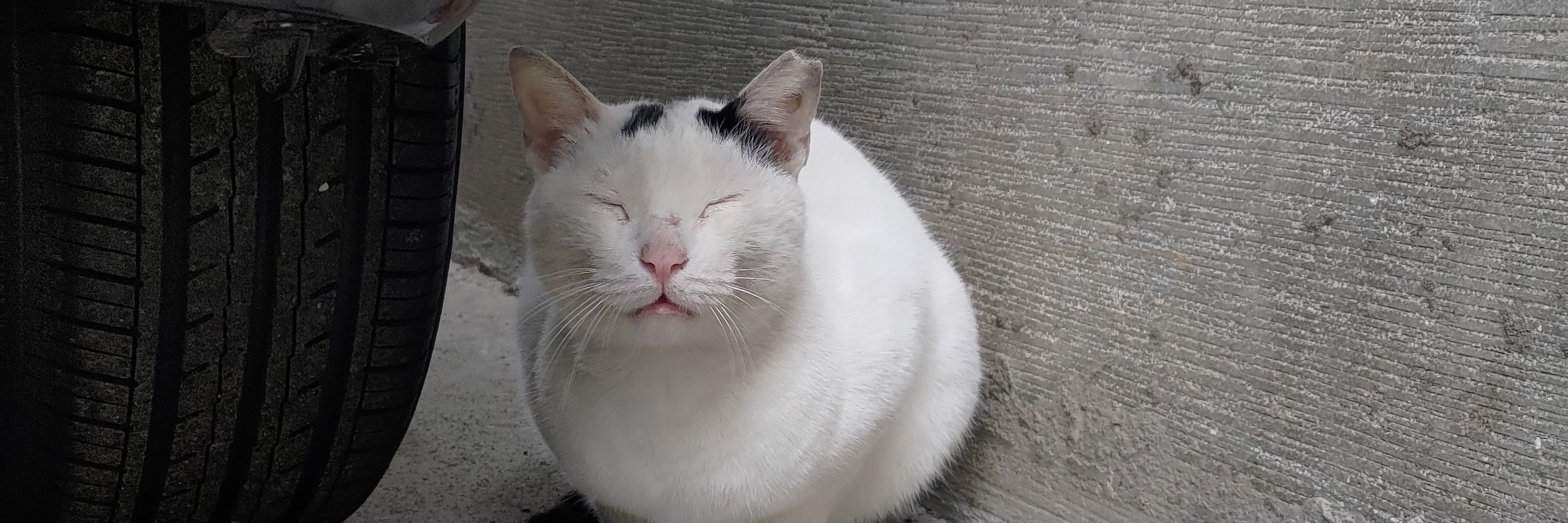 いばら