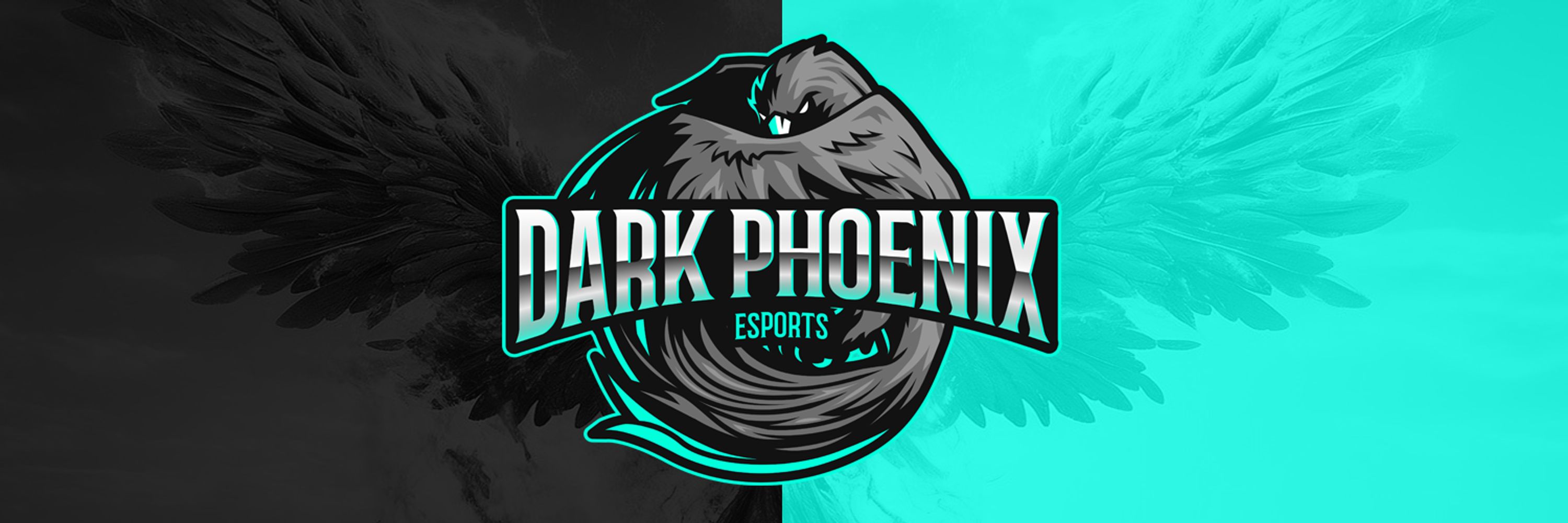 Dark Phoenix Esports 🏳️‍🌈