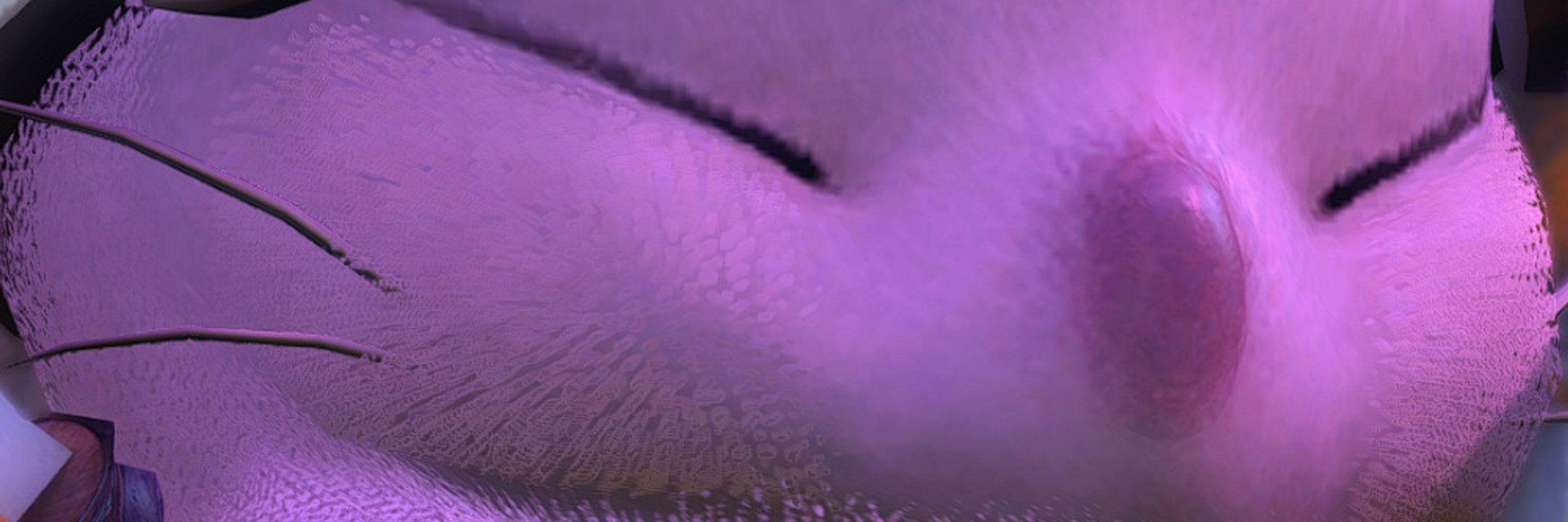 Kevin