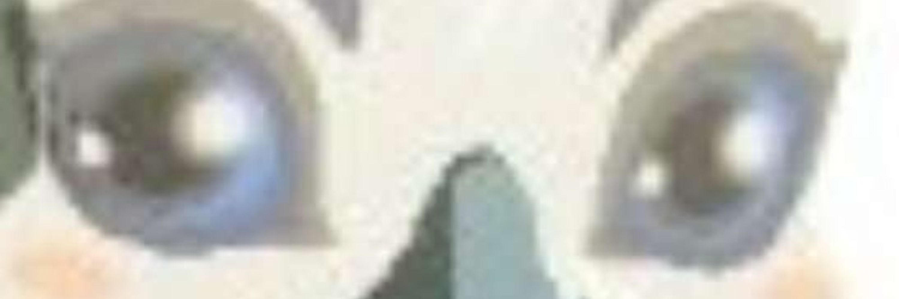 TripWedge