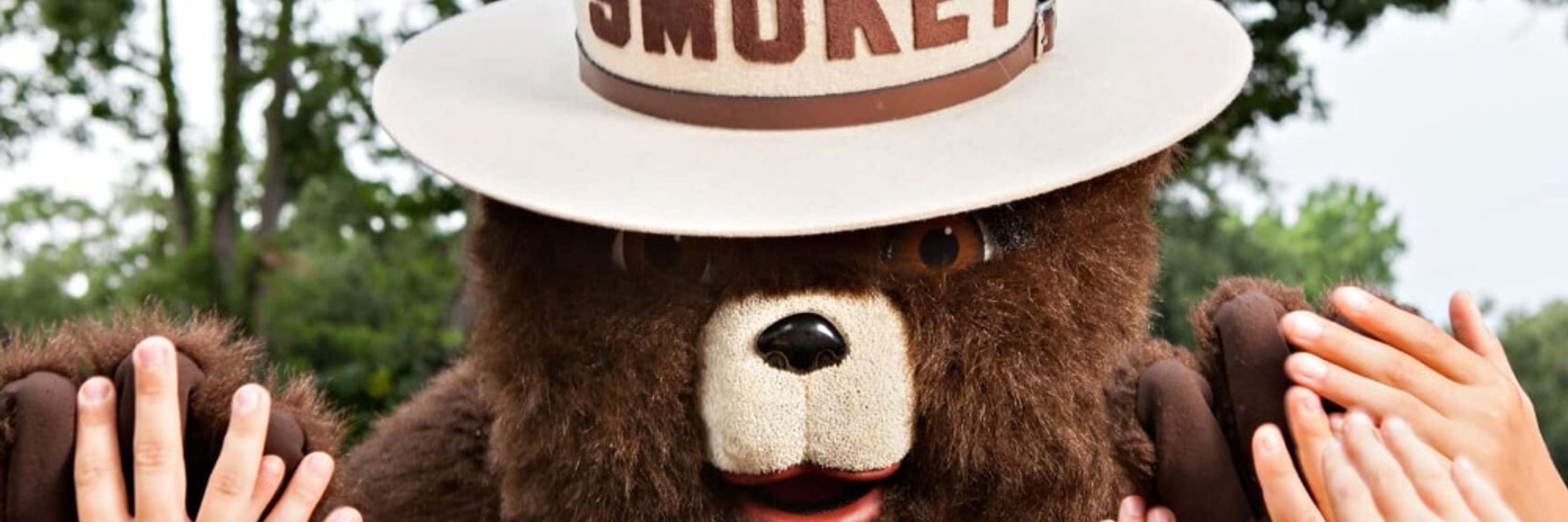 El Muscho, l'ours ronchon.