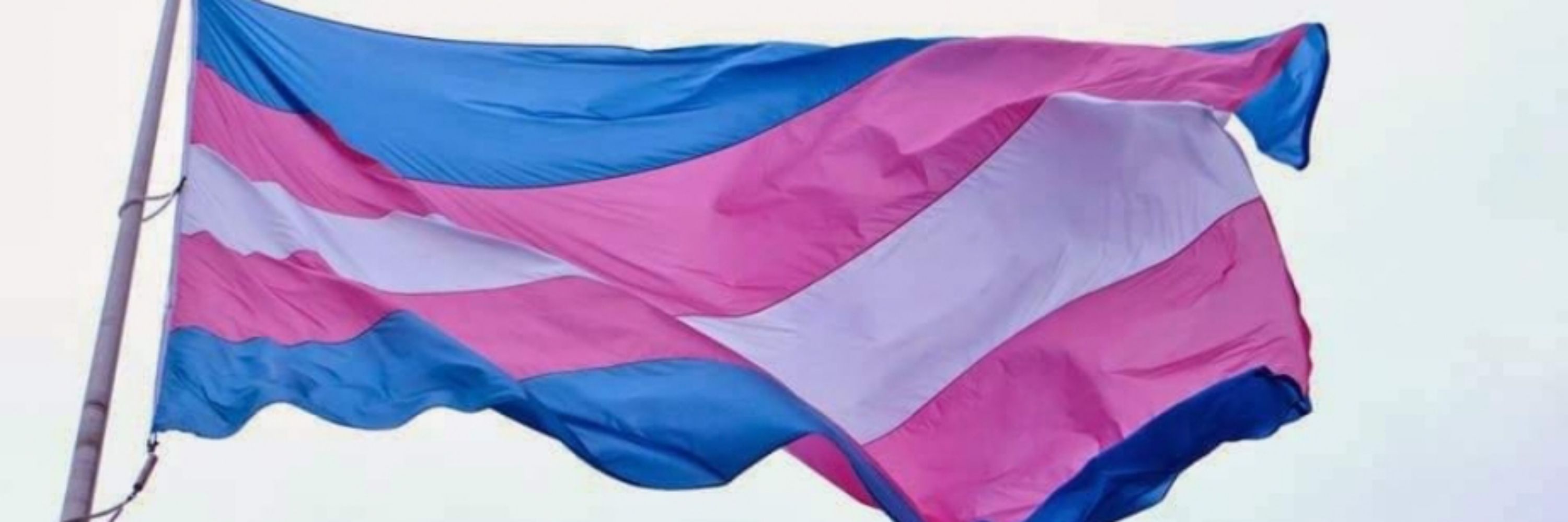 TRANStornada 