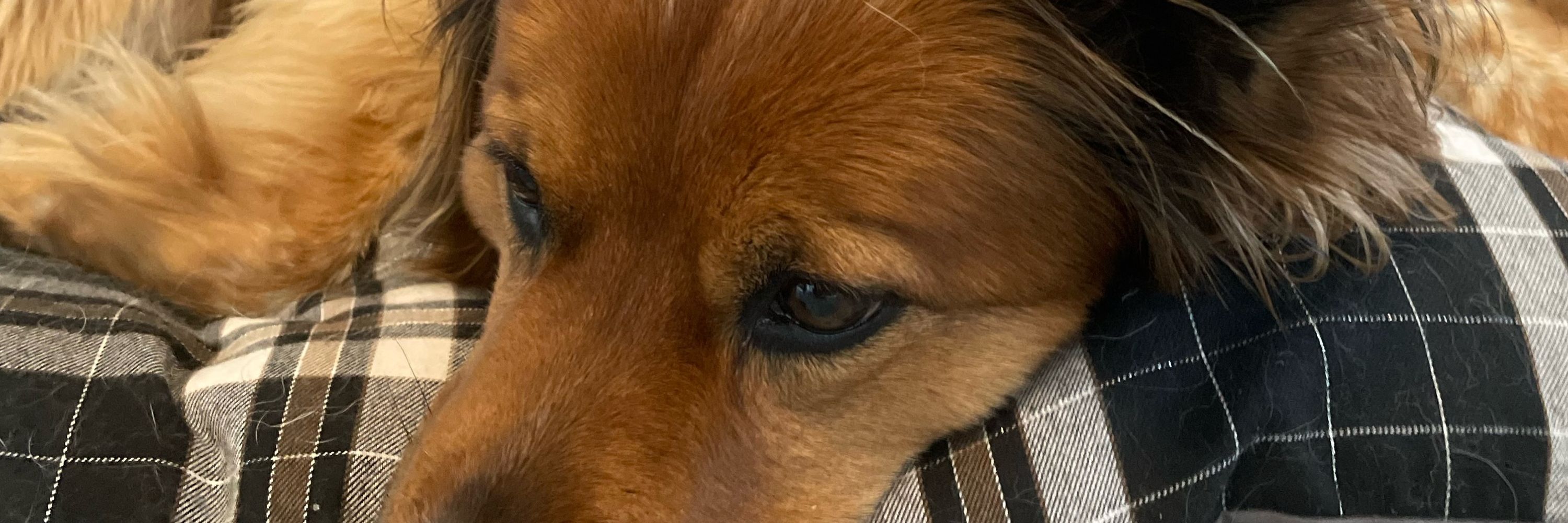 Charlie