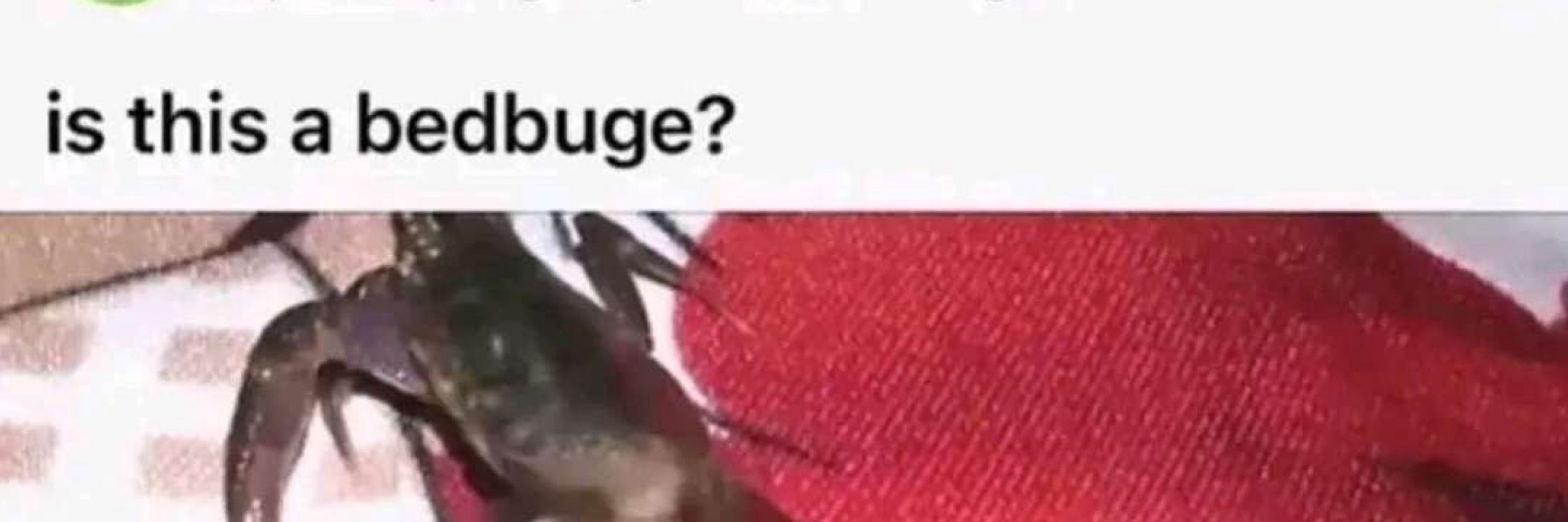heh . 😼