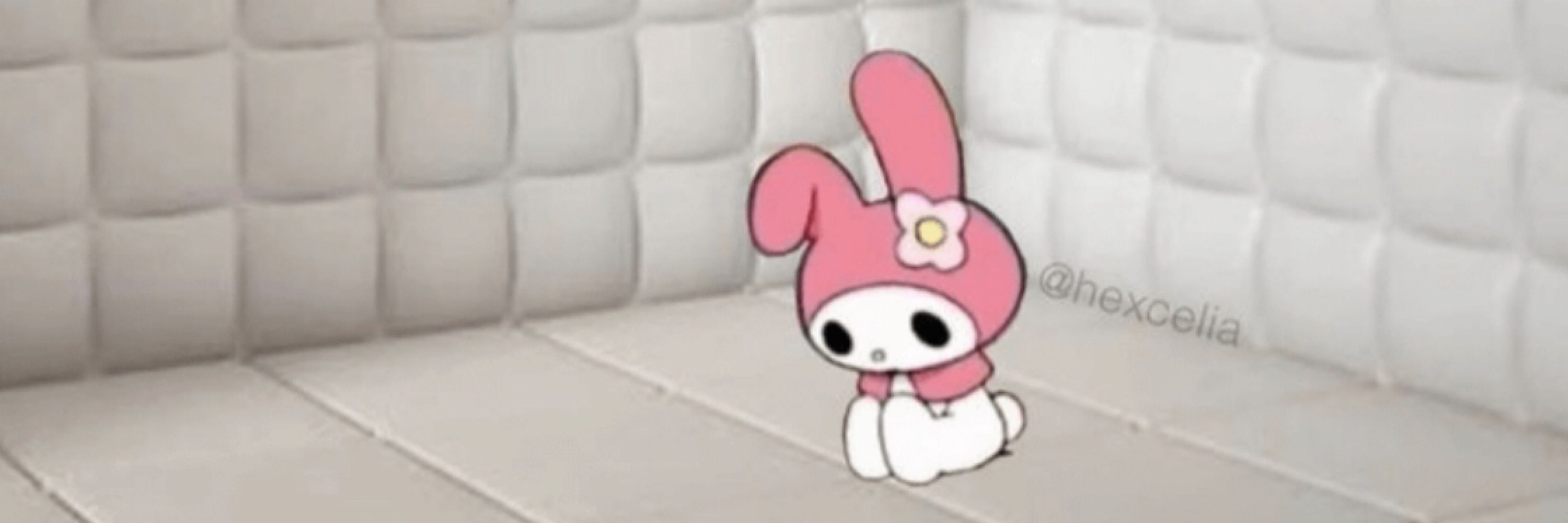 ₊˚⊹♡