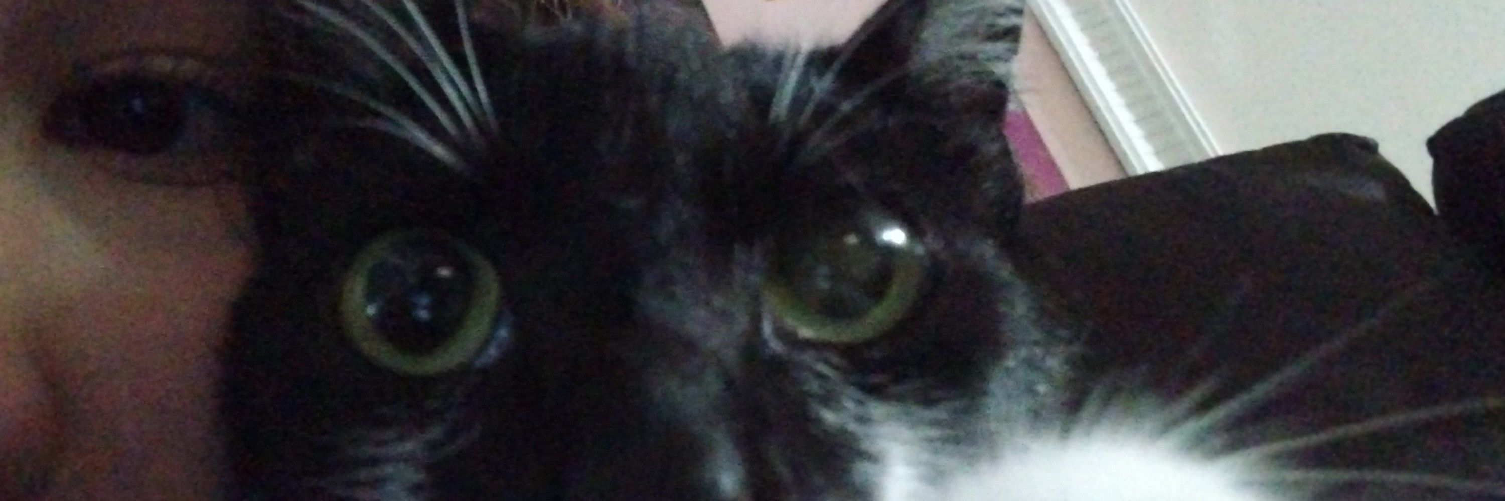 😾