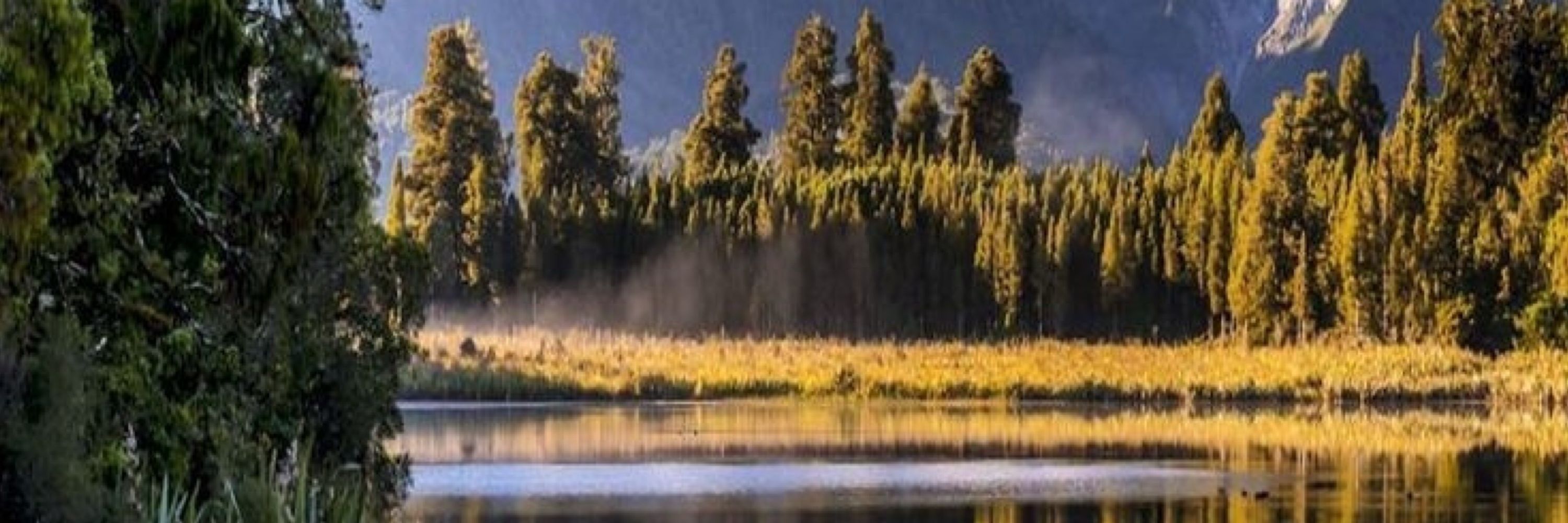 Meshack Moranga