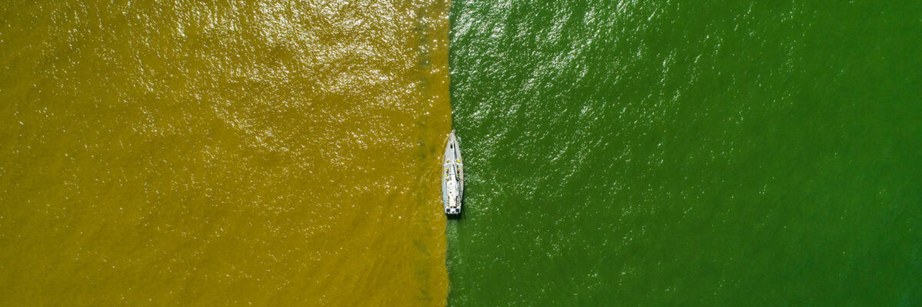 Greenpeace International 🌍