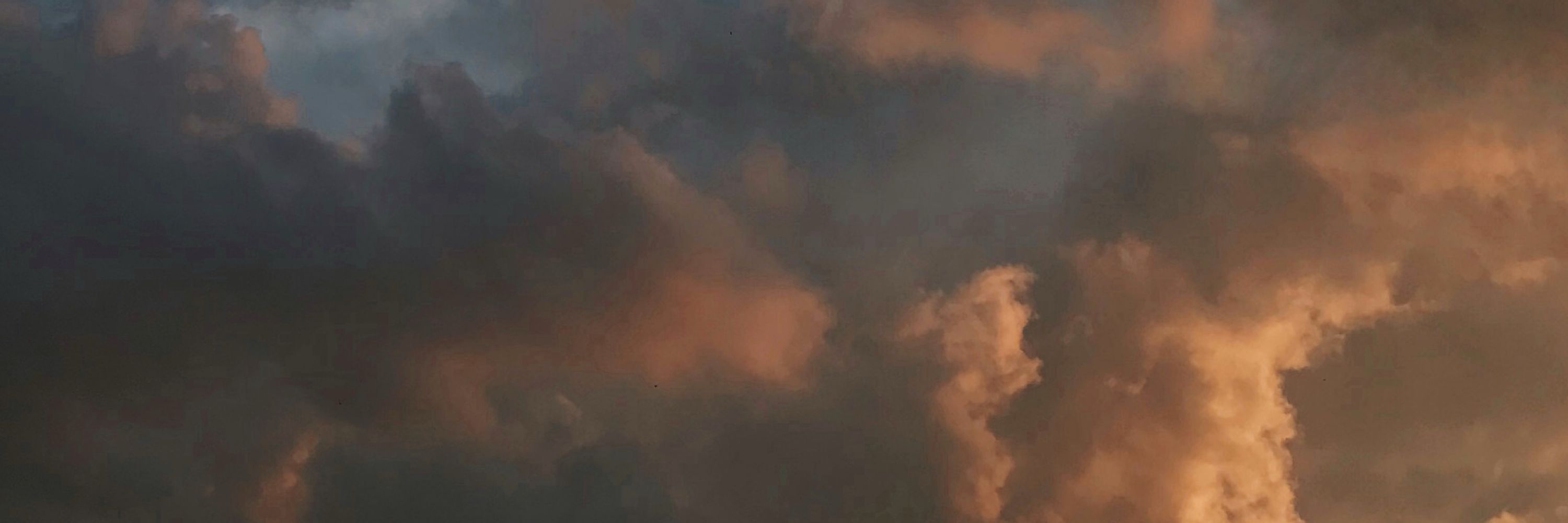 лин 🌙