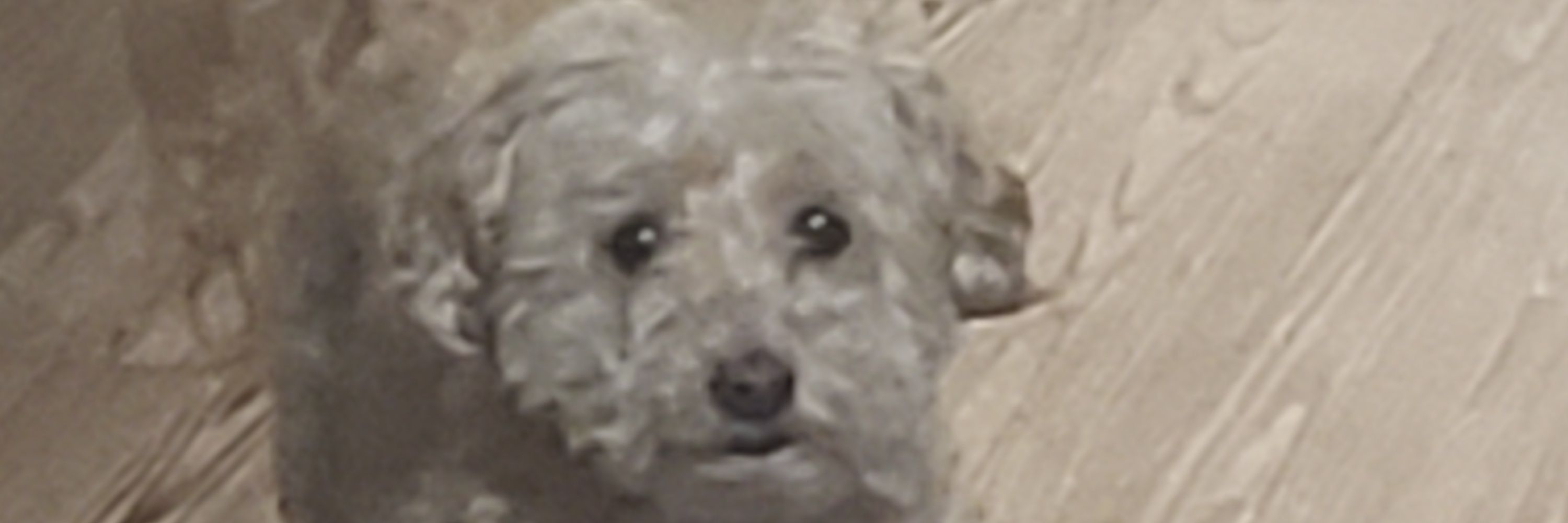 Yeshi