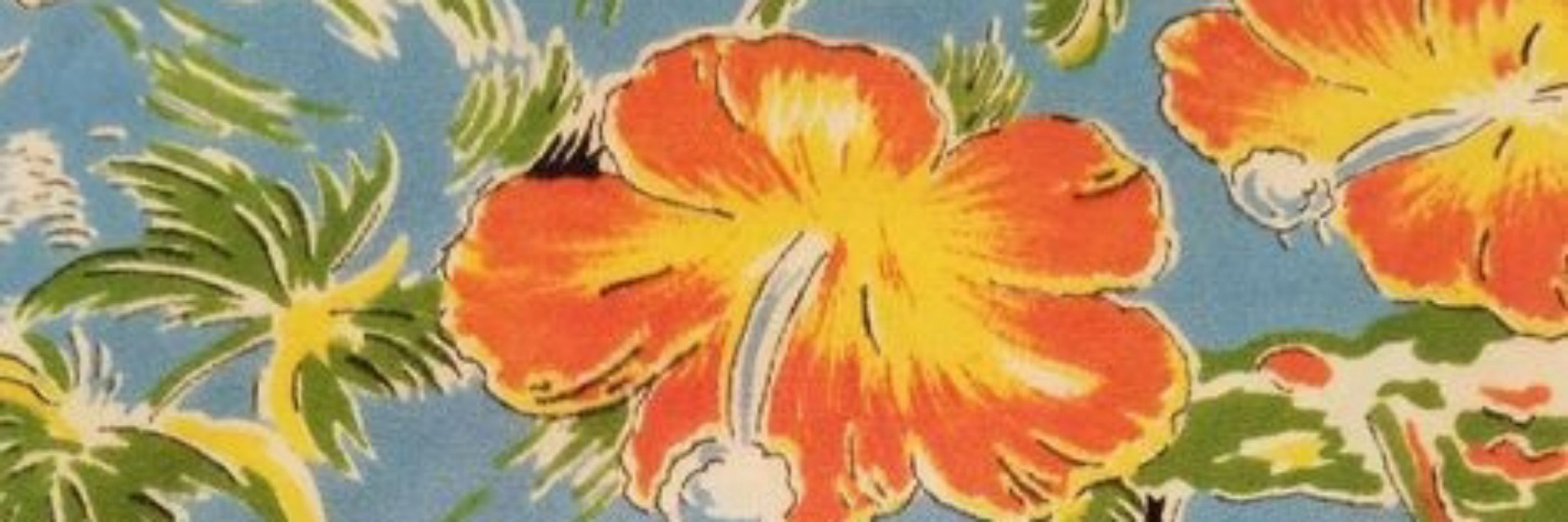 🧡|•𝙥𝐨𝙥c𝐨𝙧ƞ