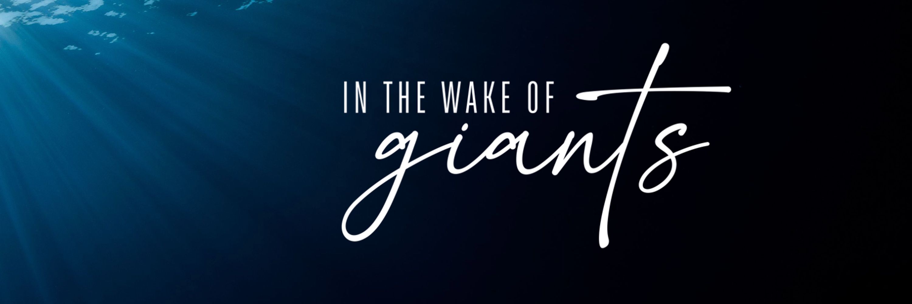 In the Wake of Giants Film