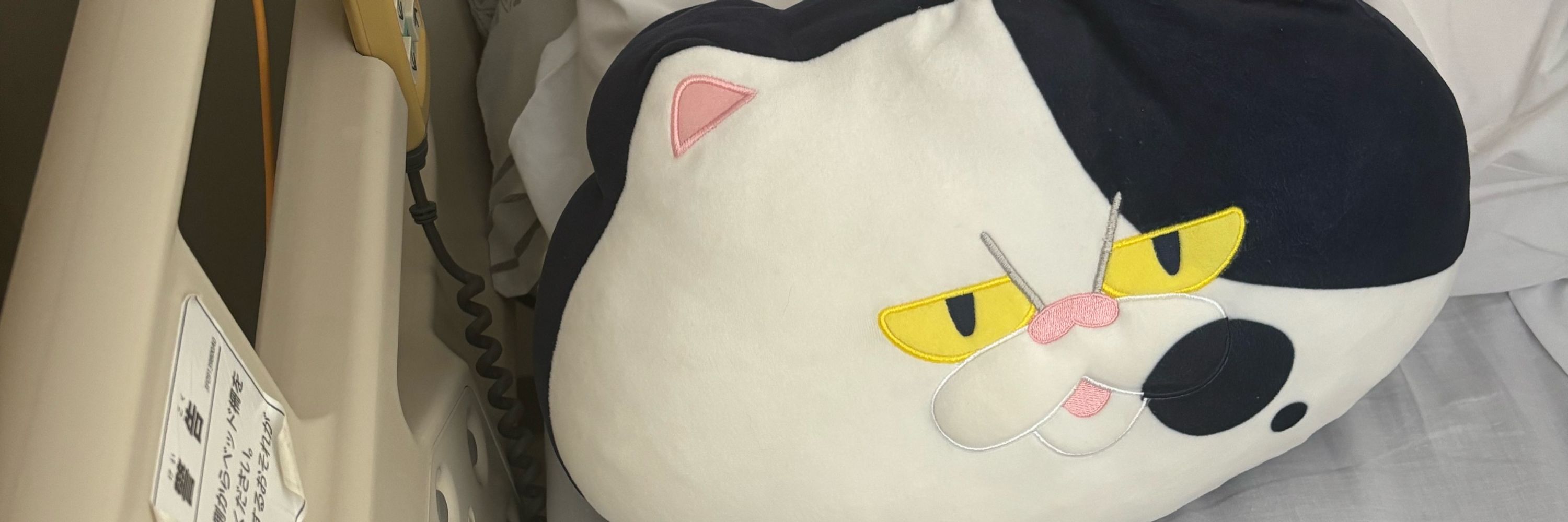ぱぴこ
