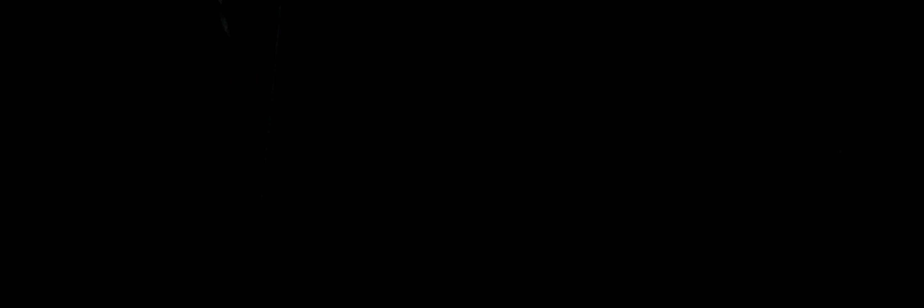 🕷️