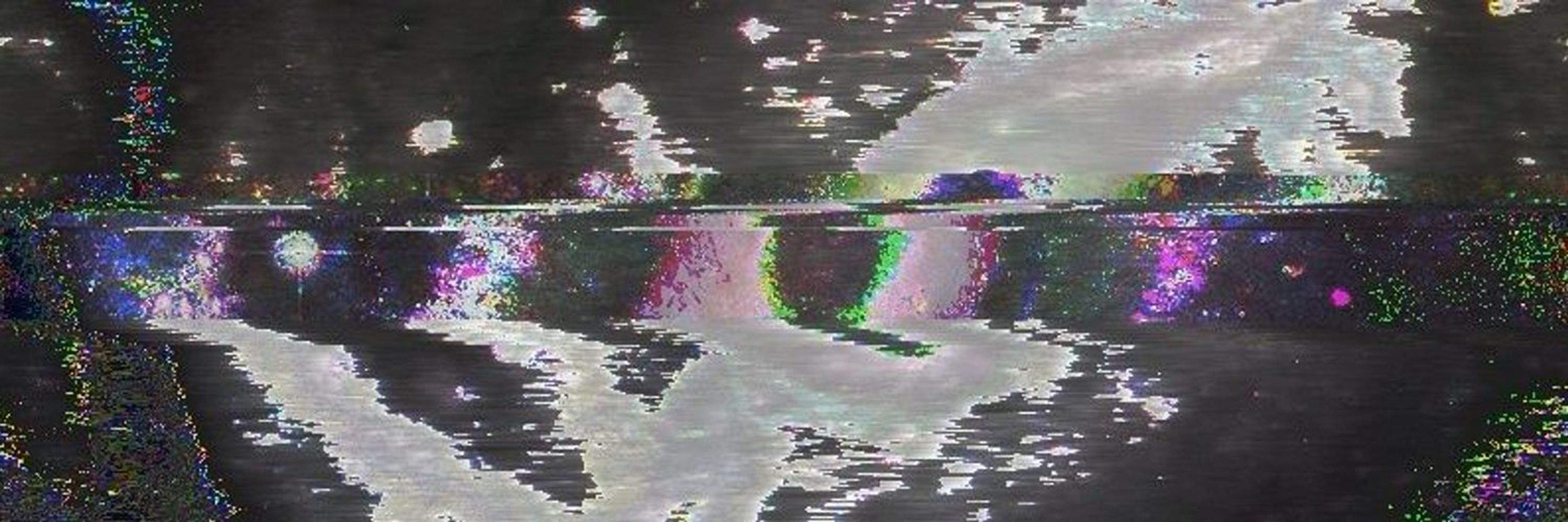 𝘽𝙚𝙚𝙨 🏳️‍⚧️
