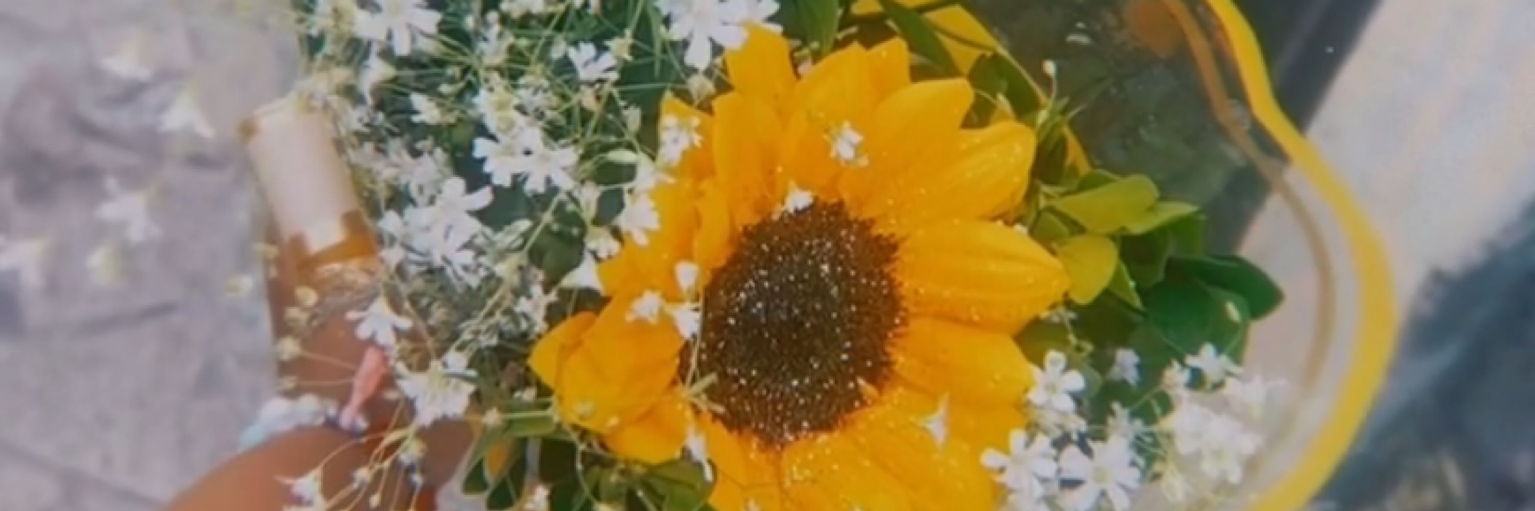 L.🌻