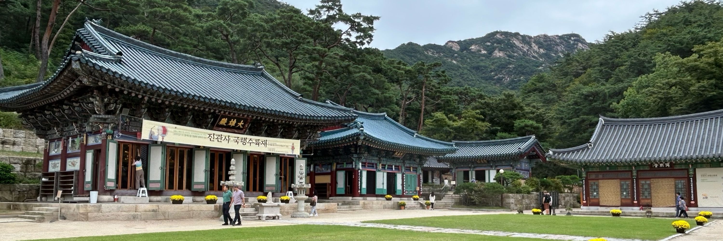 Saran