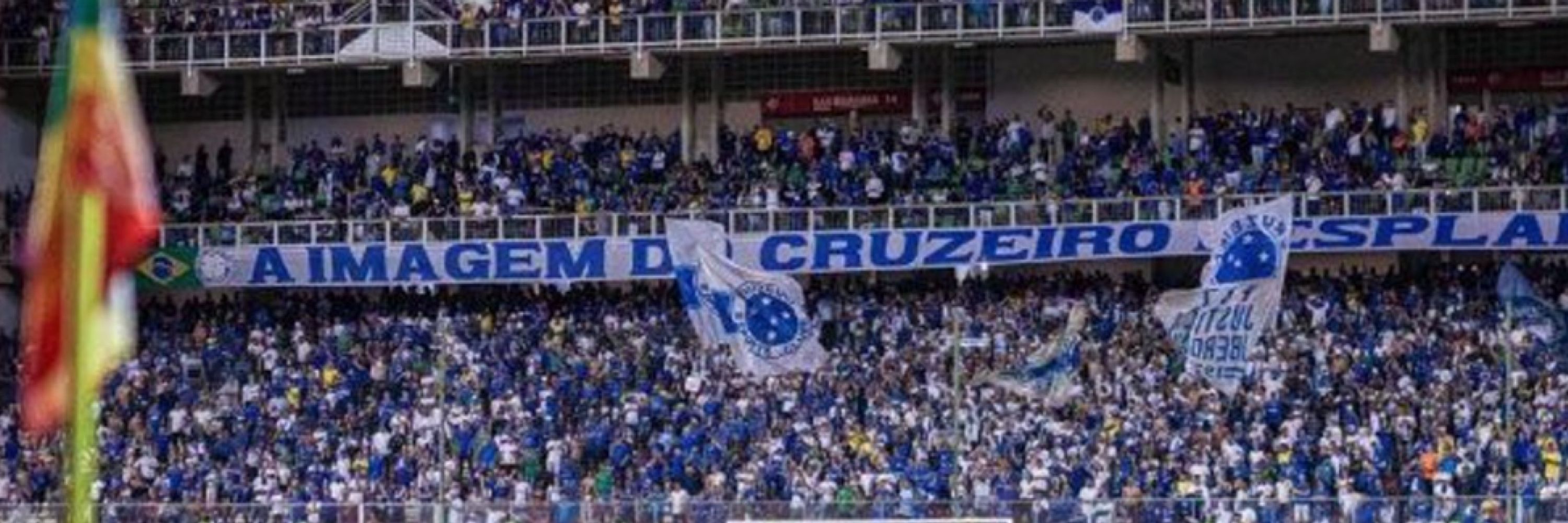 botelho🦊💙