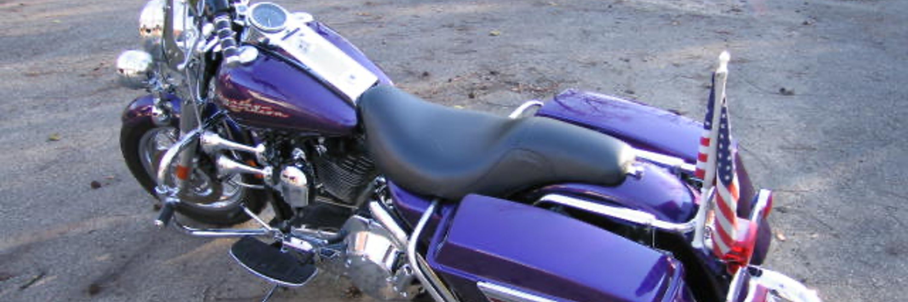 Purple - Someday America will be smart again!