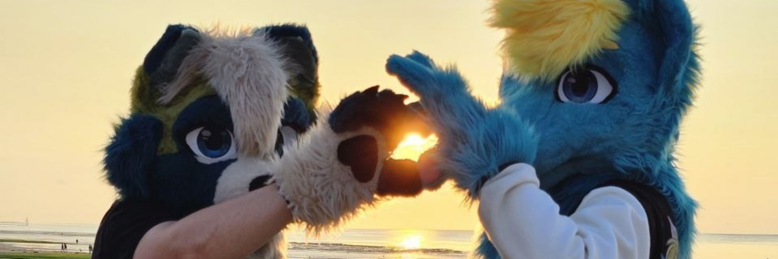 CorentinWolf