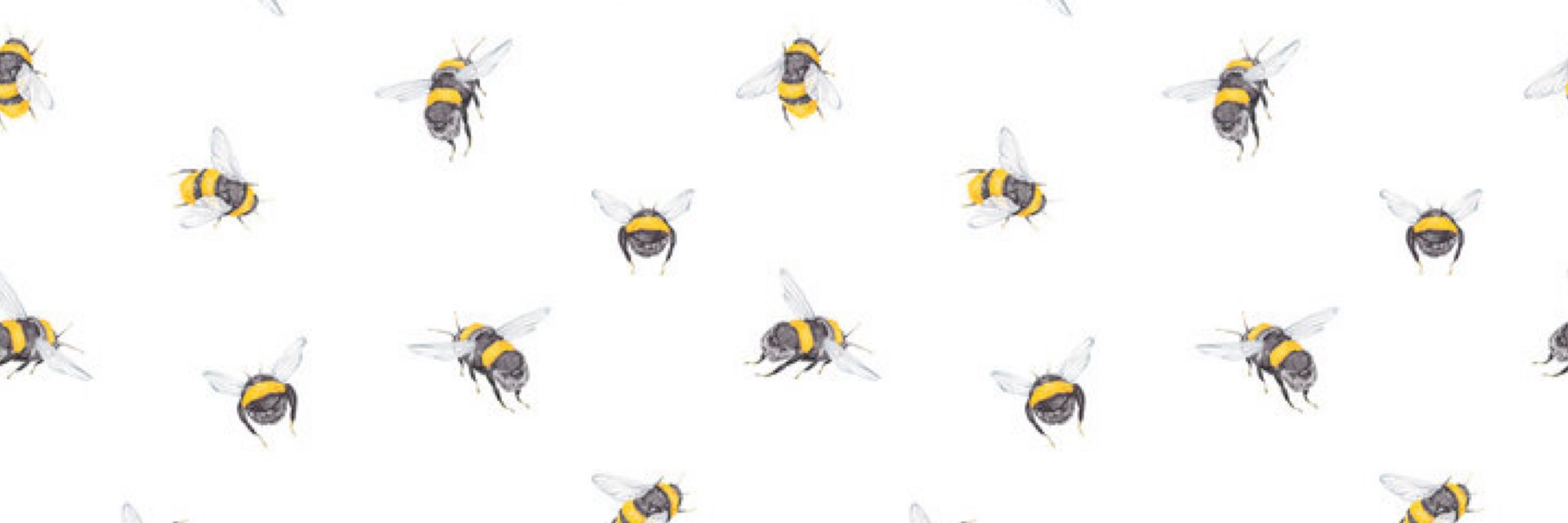 57bees