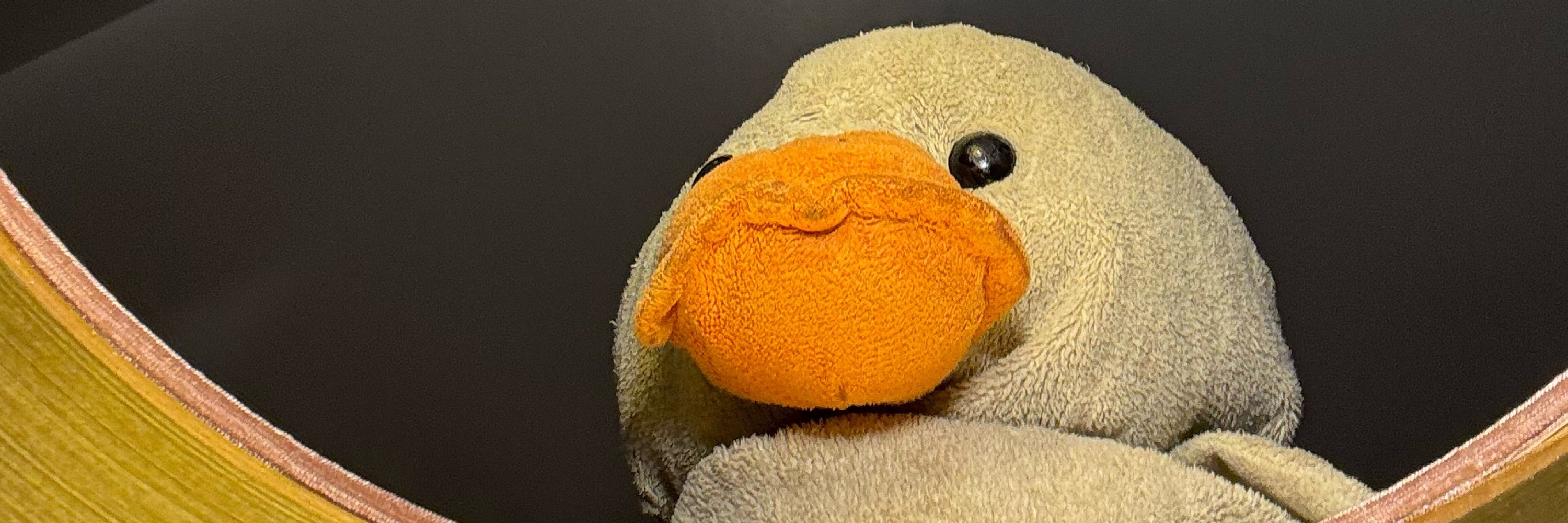 Ducky
