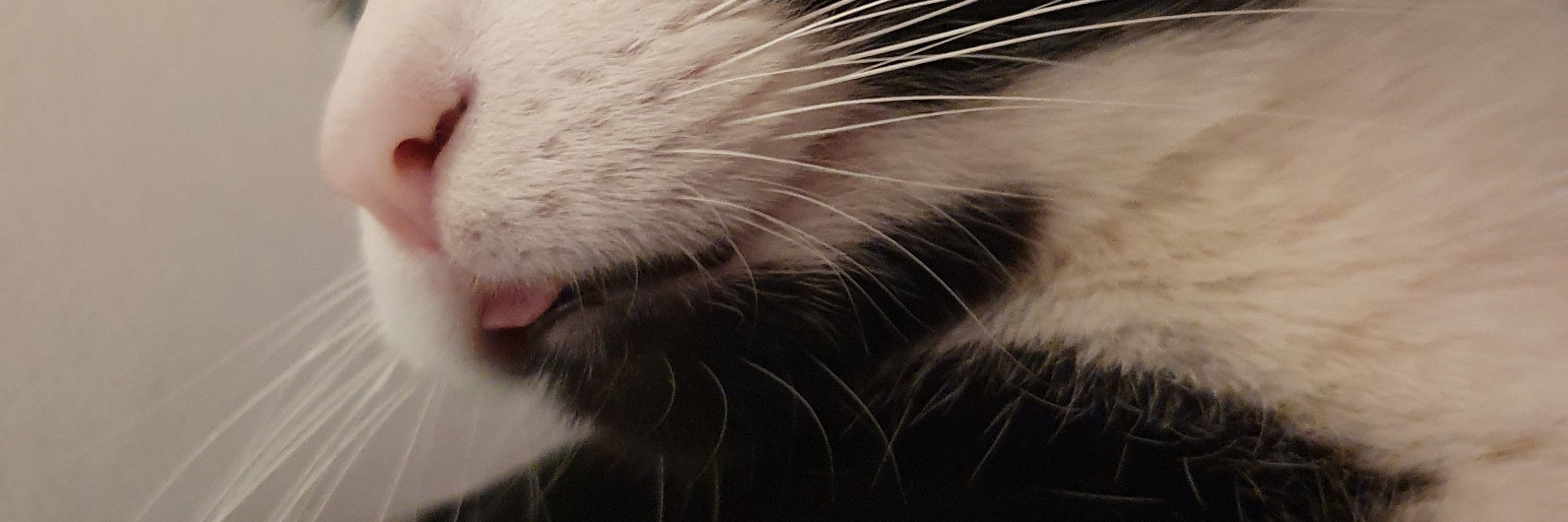 Sam