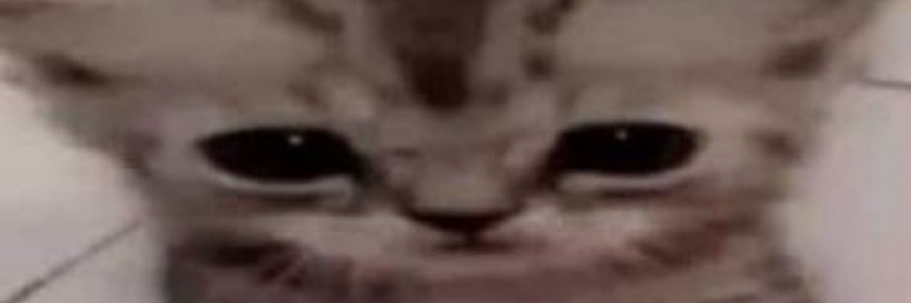 Tom