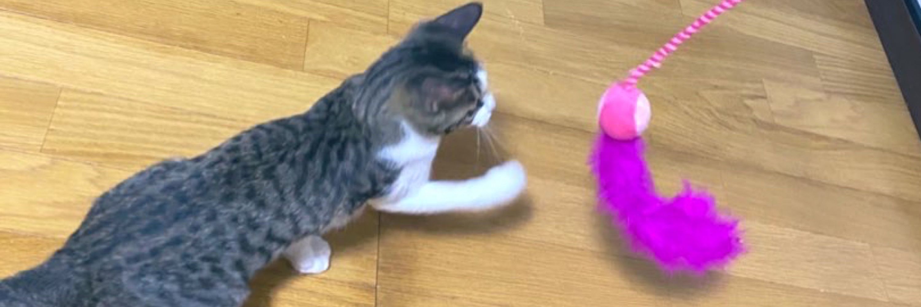 みなも