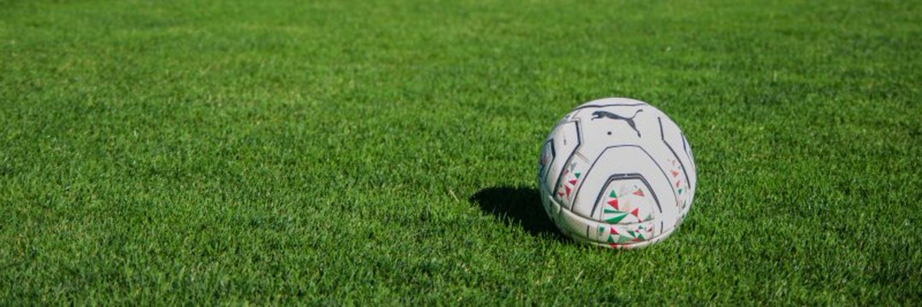 Fmcatenaccio