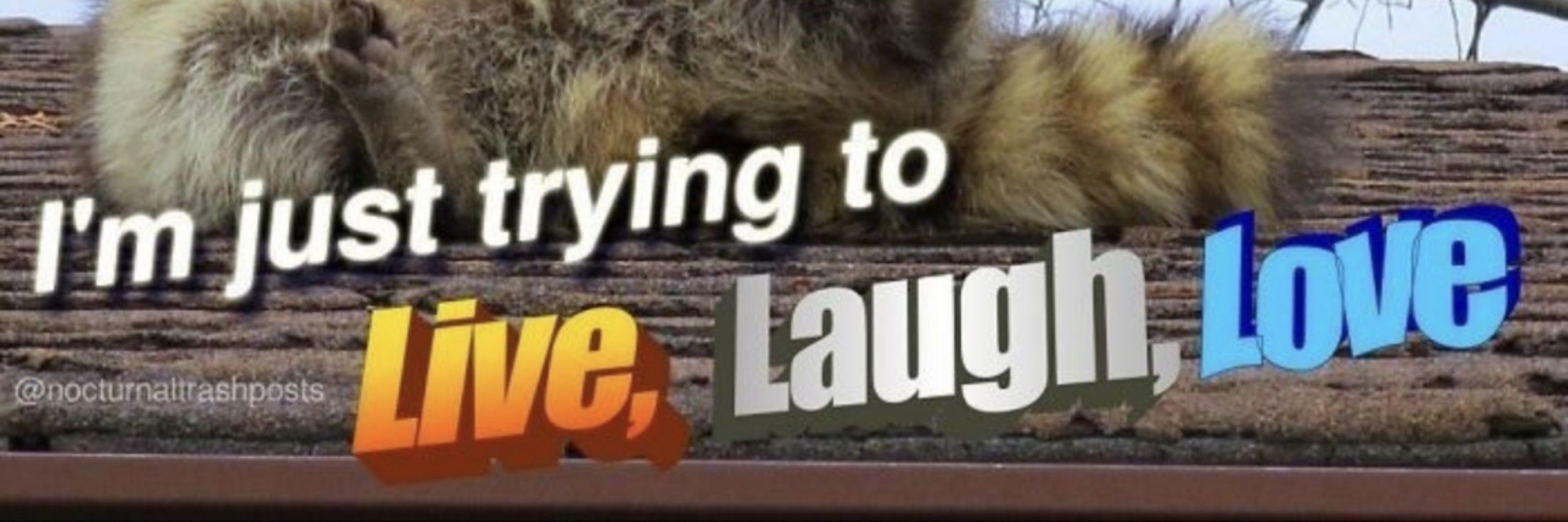 J🐻