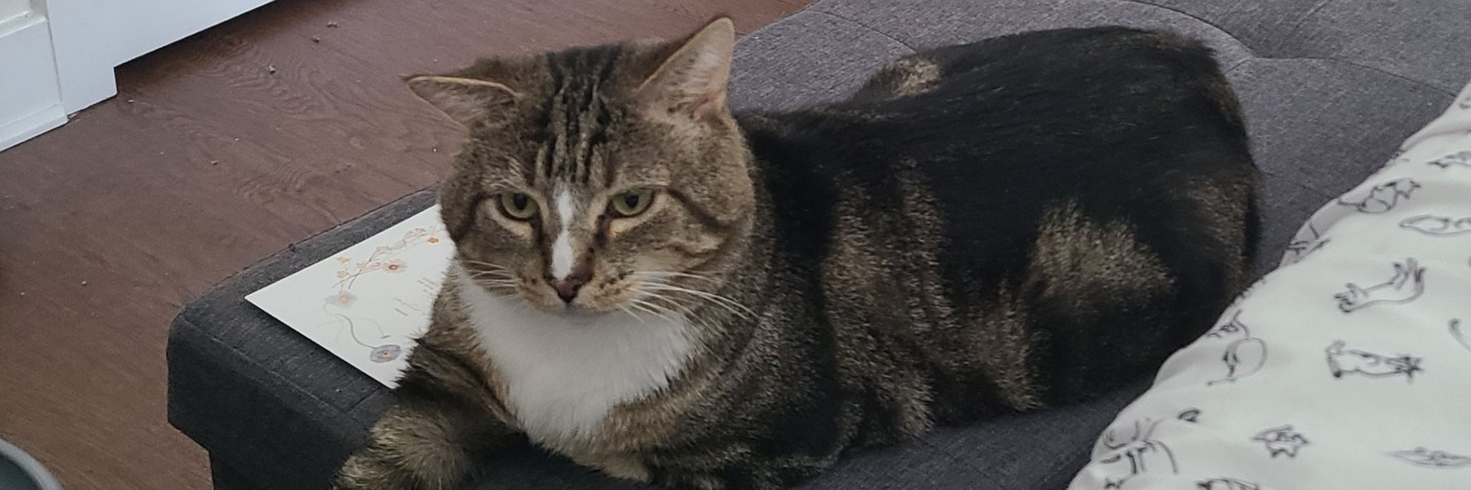 Lydia