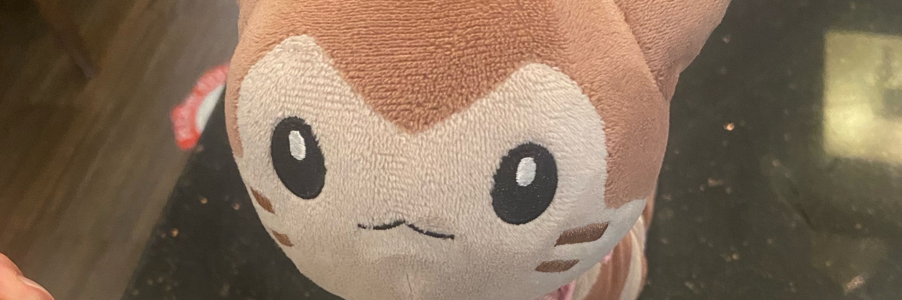 Furetto