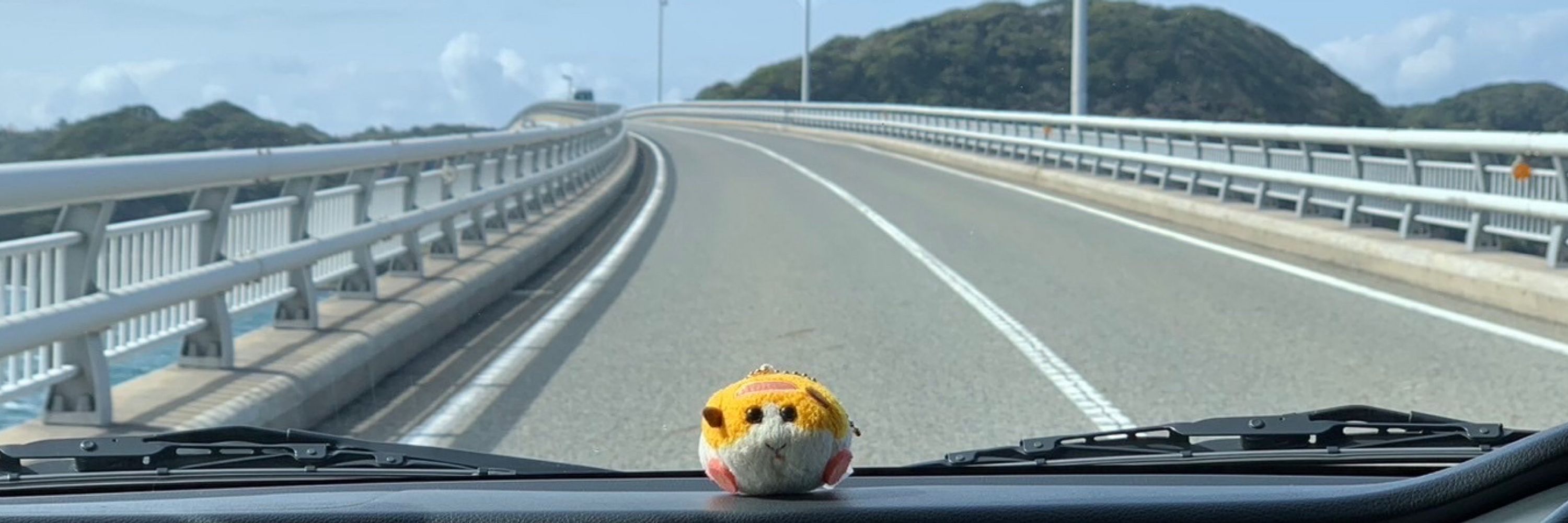 🐹