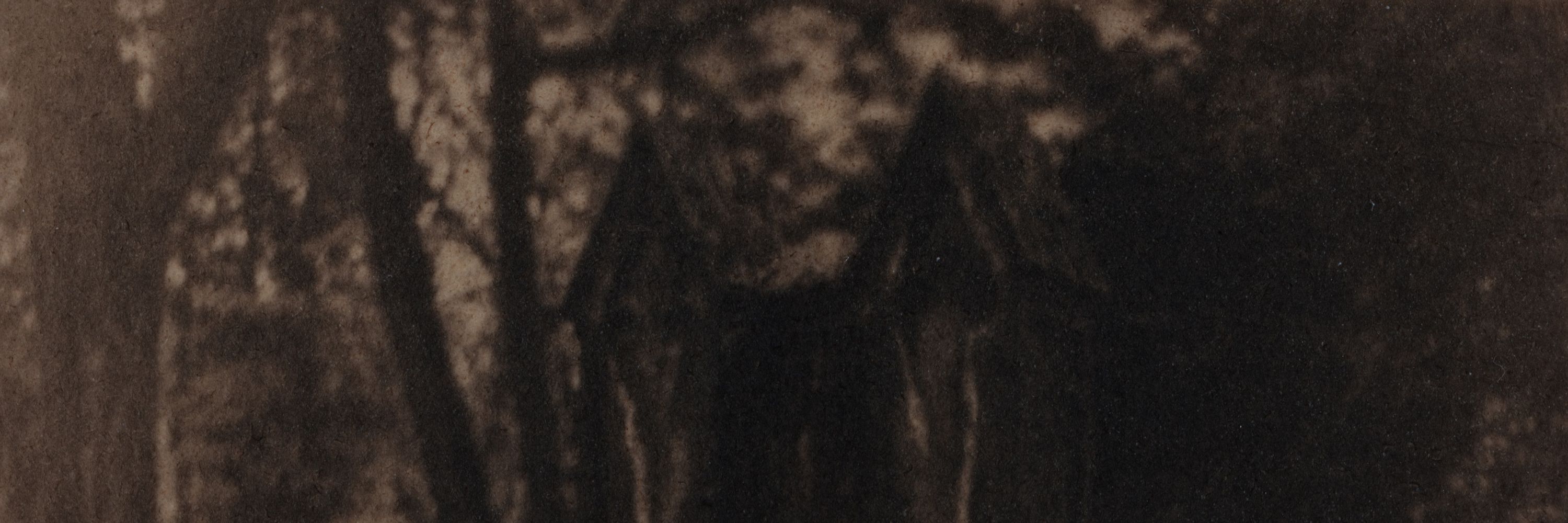 𝖈𝖊𝖑𝖎𝖆 𝖓𝖔𝖗𝖒𝖆