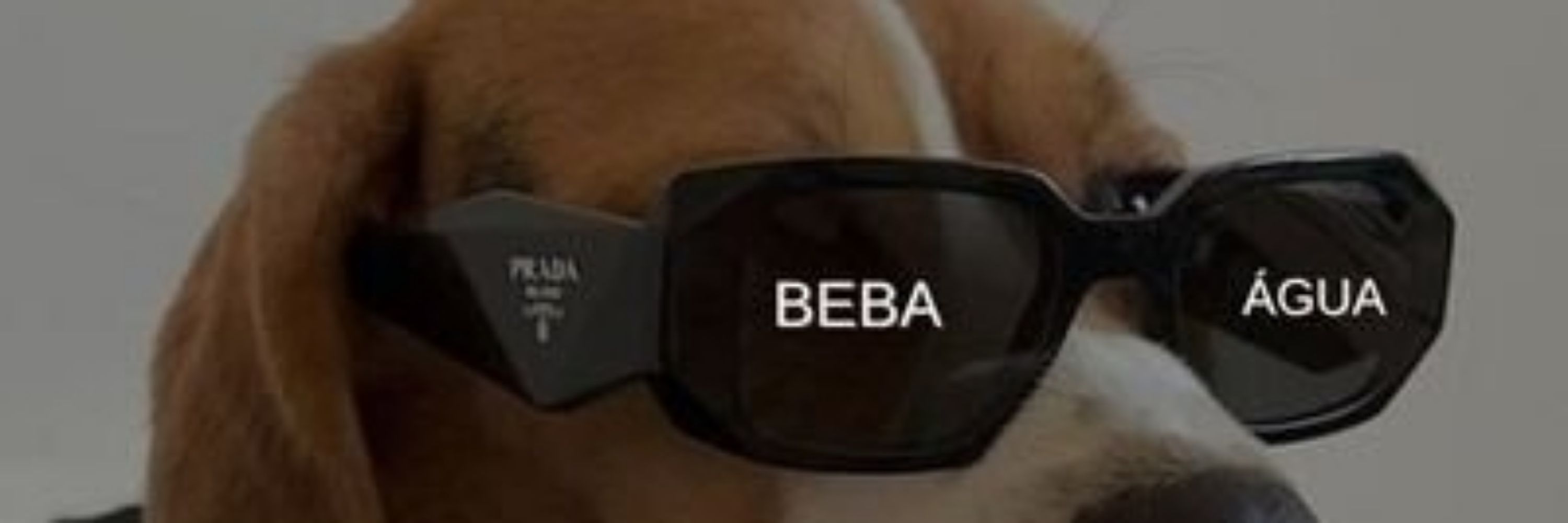 Bocí ⚓️